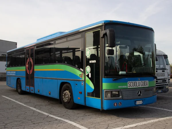 BUS
